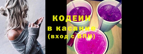 стаф Краснослободск