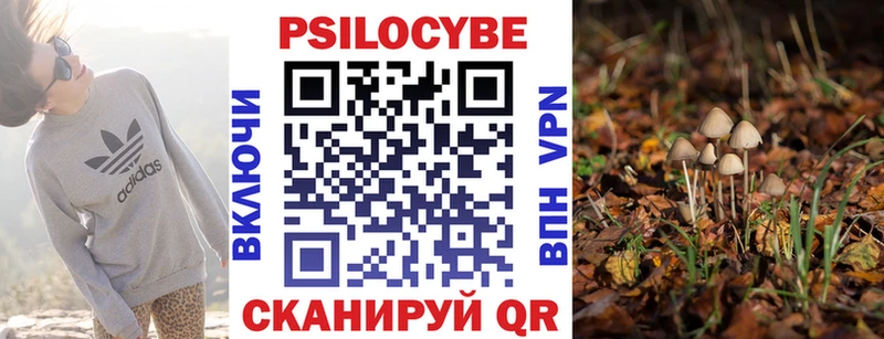 Купить закладки  Карачев  Псилоцибиновые грибы прущие грибы 