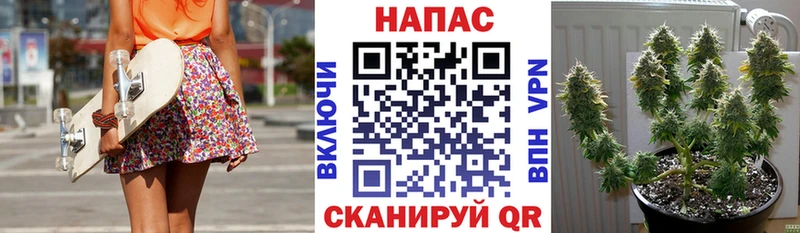 Купить где Карачев Шишки марихуана AK-47